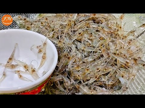 EXOTIC "Dancing Shrimps" salad ; Rare recipe in Bangkok street food l Goong Ten กุ้งเต้น