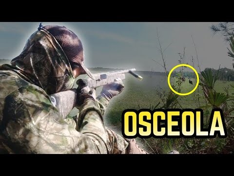 Expert Tips for Osceola Turkey Hunting | Bass Pro Shops