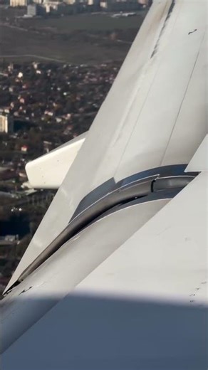 Wobbling flaps on the Airbus A320 74 Perfectly normal by the way. #aviation #airbus #a320 #lufthansa