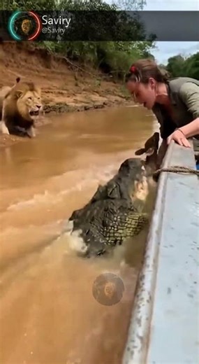 A gazelle escaped from a lion only to find a crocodile... 🦌