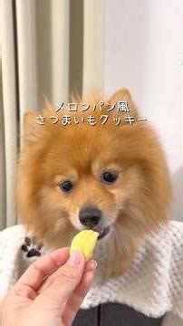 メロンパン風さつまいもクッキー🍠🍪