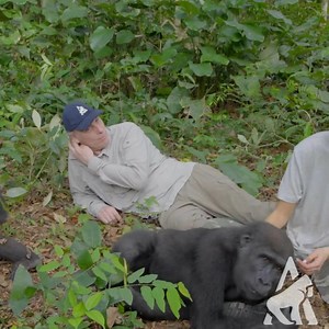 5.2K views · 539 reactions | In July 2021, Freya Aspinall, joined...