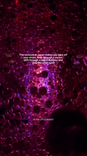 Exploring TeamLab's Best Exhibit in Japan