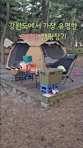 강원도에서 가장 유명한 캠핑장-강릉연곡해변솔향기캠핑장 오션뷰 1순위🏕🌊)
