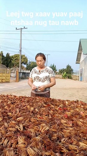 Leej twg xaav tau maaj maaj nawb tsam taag lawm os #uaqhobbpoobnojqaabheevlenawb | Sua Saetho