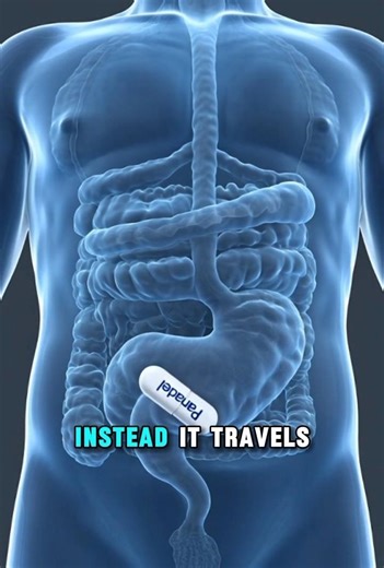 How Panadol Really Works Inside Your Brain 🤯