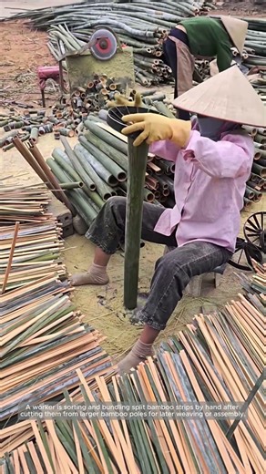 Hand Sorting Split Bamboo Strips