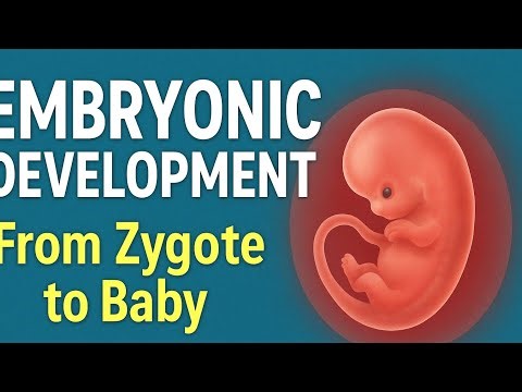 Embryogenesis for All Exams Simple, Scientific & Global Learning