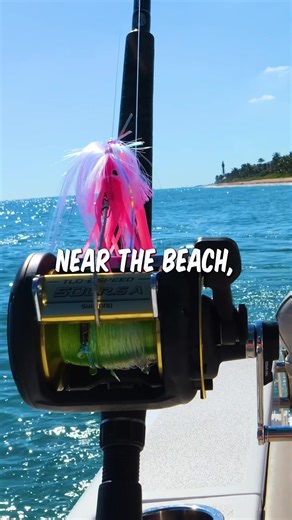 Exploring Beachside Fishing in Florida