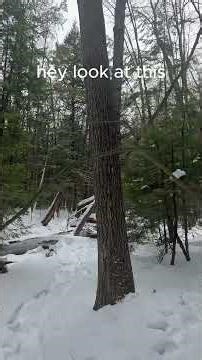 Follow me through nature