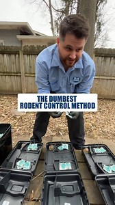 Why bait alone never actually fixes rodent problems A lot of people think putting out bait boxes solves a mouse or rat problem. It might reduce activity for a while but it never fixes how rodents get into the home. That’s why the problem keeps coming back. #rodentcontrol #pestcontrol #homeowners #ratproblem #mouseproblem #propertycare #homeissues #hometips | Blue Duck Pest Control