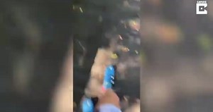 Cyclist Falls Off Bike Along Slippery Path