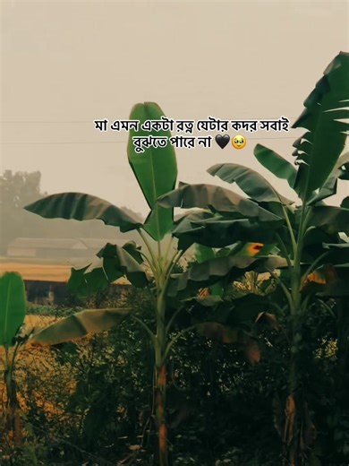 pand.vai.official1 (@pand.vai.official1)’s videos with original sound - NOBITA