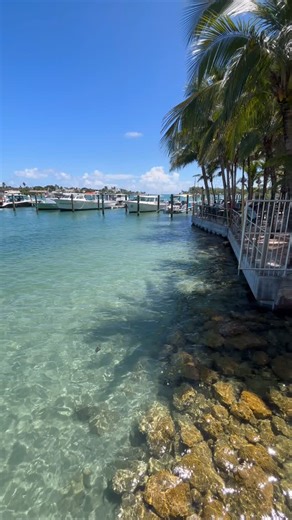 From 2015 to 2025 Jupiter Florida Average Home prices have tripled! When did you buy your first home in Jupiter? I escaped the cold up North and moved here in 2010. 🩷🌴 Curious how much equity is in your home? Message me! Kristin Wallace Real Estate Agent Jupiter and The Palm Beaches 781-771-5400 Sales based on average sales price per year in the MLS. #jupiterrealtor #jupiterrealestate #jupiterflorida | Kristin Wallace