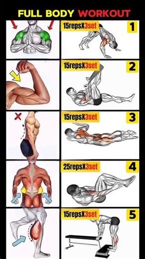 Ultimate Full Body Exercise ✅ Biceps, Abs, Shoulder, Leg, Back Workout at Home #shorts #fitness #gym