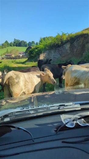 JCP swva (@jcpowers1)’s videos with Standing Here - Colter Wall