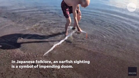Rare 'doomsday' oarfish swims up to beachgoers in shallow water