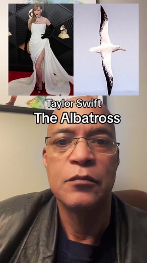 The Albatross Taylor Swift Song Explained by Blabbertok