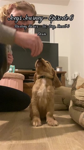 Lily (@bestbarkingbehaviour)’s videos with God Only Knows - Matilda Mann