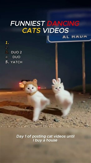 FUNNIEST DANCING CAT VIDEOS ON THE INTERNET
