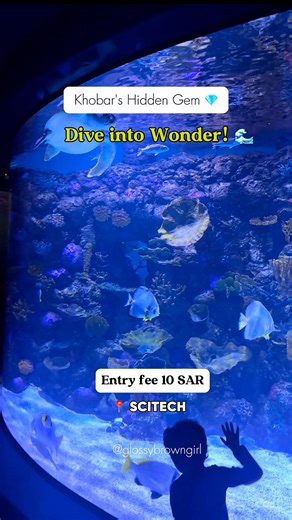 Maryam | - Khobar’s Hidden Gem alert! ‼️ 💎 Discover the magic of sea life and make a splash! 🌊 A must visit for all ages! Entry fee 10 SAR!... | Instagram