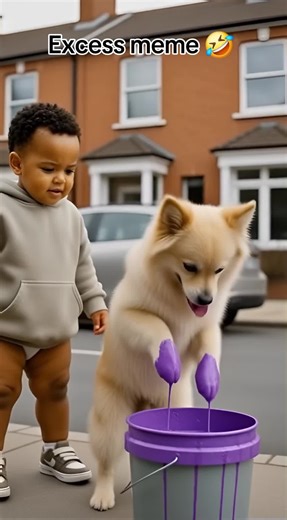 Discover Dog Lovers' Favorite TikTok Trends