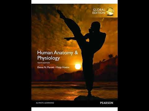 The Human Body: An Orientation | Chapter 1 - Human Anatomy & Physiology