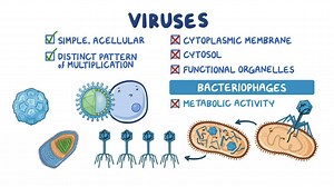 Video: Viral structure and functions - Video Explanation! | Osmosis | Osmosis
