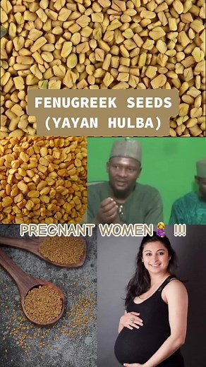 Fenugreek Benefits for Pregnant Women by Dr. Abdulwahab