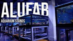 We get a lot of questions about the aluminium aquarium stands we use here. Our supplier of stands is a local company here in Ohio called Alufab. They are the paid sponsor of this video, so thank you! They are great to work with in designing all sorts of aluminium t-slot projects, and in this video I go over some of the most common questions we get about them. | Tidal Gardens