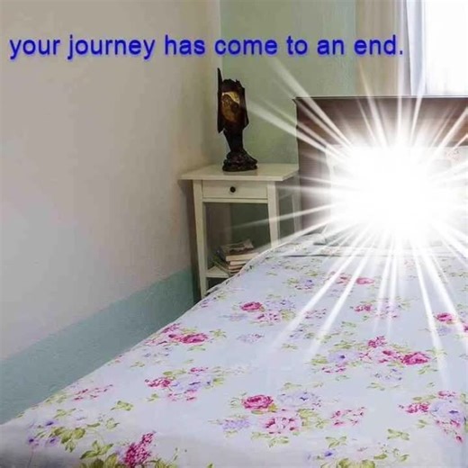 Video di weird side of internet (@weird.side.of.internet2) su wish you were here