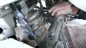 13M views · 130K shares | cat in spring | The Lion Tattoo Studio | Facebook