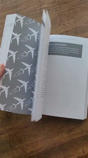 Fly for Free • Book Flip-Through