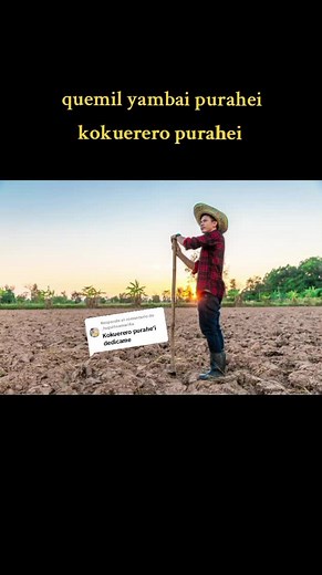 Tradition and Culture of Paraguayan Polka Music