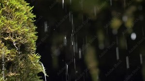 Slow motion closeup of spring water as it falls and dribbles on green moss