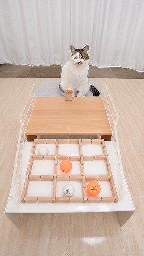 CatNaviDesk | Cats and TIC TAC TOE | Instagram