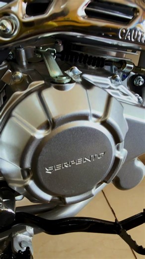 Contáctame al 8624-4227 Axel Báez. Estamos ubicados en Juigalpa chontales. #serpent #juigalpa_chontales_nicaragua🇳🇮 #150 #defender