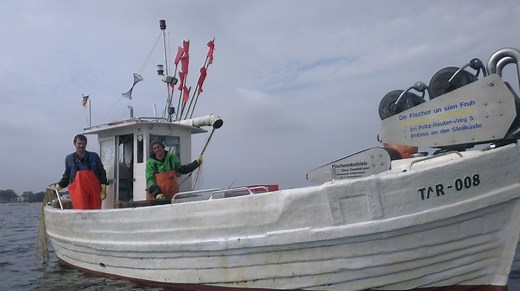 Checker Reportagen: Der Frische-Fische-Fischen-Check