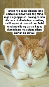 102K views · 2.2K reactions | Ang pahayag ko na ito ay tumutukoy sa...