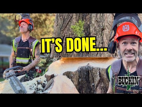 RISKY BUSINESS! Watch This Boys…