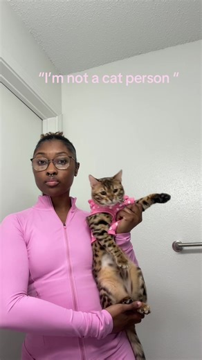 Amor por Gatos: Miércoles Rosa y Actitud Firme