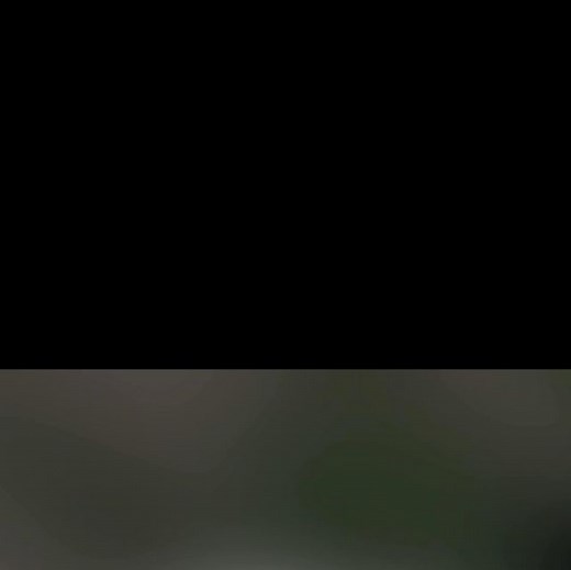 アドベンチャーワールド 公式 on Instagram: ". あくびが止まんない！ #桃浜 #アドベンチャーワールド #パンダ沼 #パンダと楽しむ14週間 ー・ー・ー・ー・ー・ー・ー・ー・ー Adventure World is the theme park in Shirahama-cho, Wakayama prefecture. There’re many animals on land, sea, and sky, and also there're the family of the 7 giant pandas. Please feel the warmth of animals in Wakayama with the richness of nature. Let’s enjoy the time with a full of Smile!"