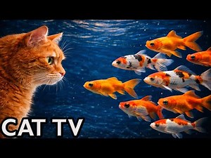🔴 LIVE Cat TV Aquarium 🐟 Fish Tank for Cats to Watch (4K, No Music)