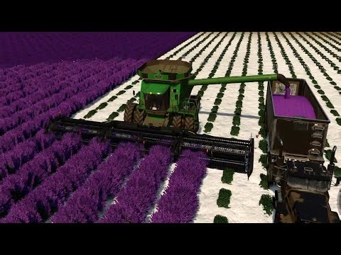 $40 Million DOLLAR Challenge Juotca Flat Map 4x #26 | Farming Simulator 25 Time Lapse |