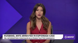 Navy Engineer And Wife Accused Of Trying To Sell U.S. Nuclear Secrets