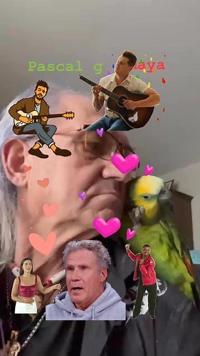 Pascal Giboulet on Reels