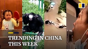 26K views · 119 reactions | A five-year-old girl is training hard to become a table tennis star. Chen Siyang started practising with her grandfather when she was just three, and recently beat child players older than her. That, and more trending videos from China this week. | South China Morning Post | Facebook