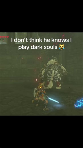 Zelda & Dark Souls: A Hilarious Gaming Mashup