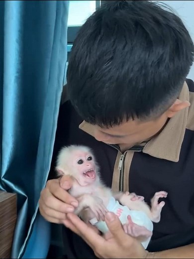 Terror screaming baby monkey afraid of thunder | Best Videos