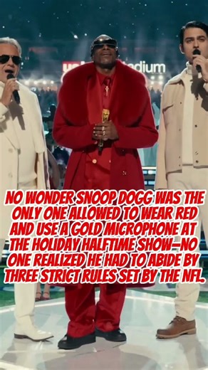 No wonder Snoop Dogg was the only one allowed to wear red and use a gold microphone at the Holiday Halftime Show—no one realized he had to abide by three strict rules set by the NFL.#foryou #viral #fy